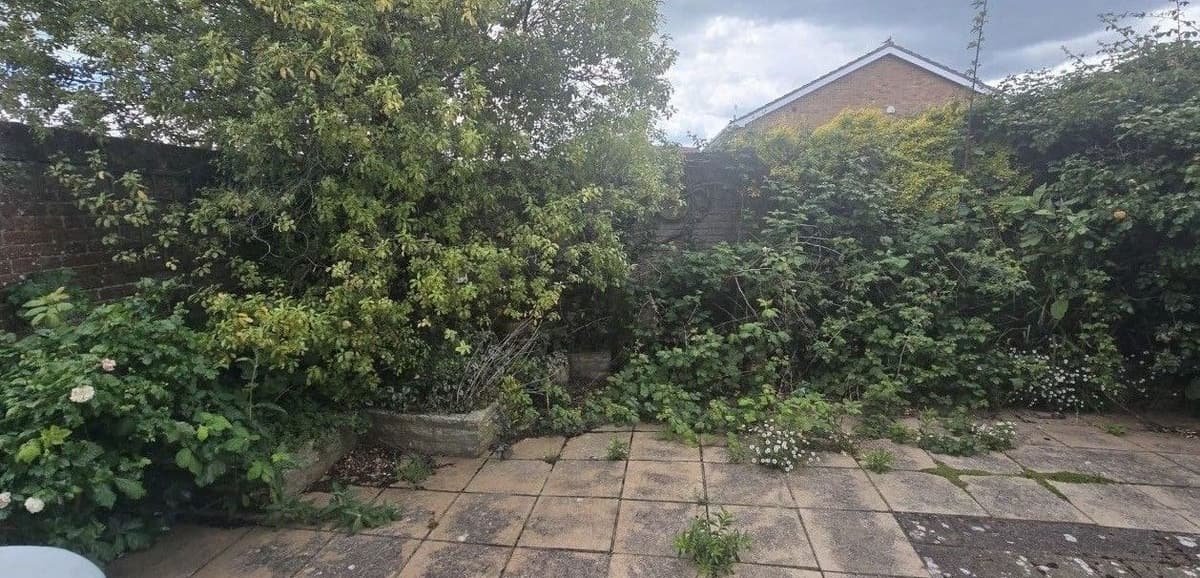 Before: courtyard garden revealed in Lymington