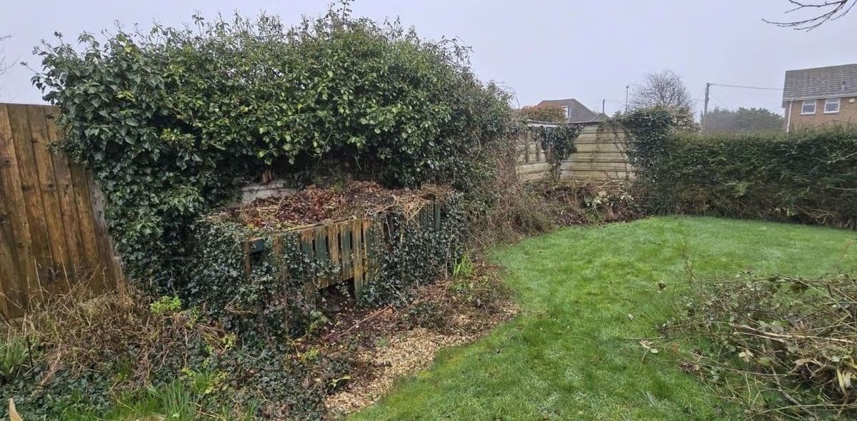 Before: ivy and overgrowth clearance in New Milton
