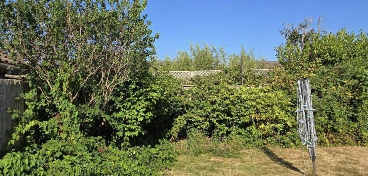 Before: shrub and border reduction in Lymington
