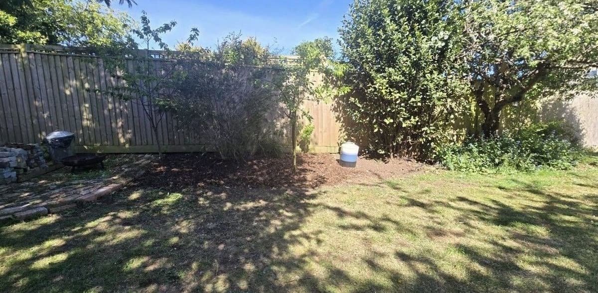 Garden border cut back and tidied, with a clear bed beneath the shrubs and a neatly kept lawn