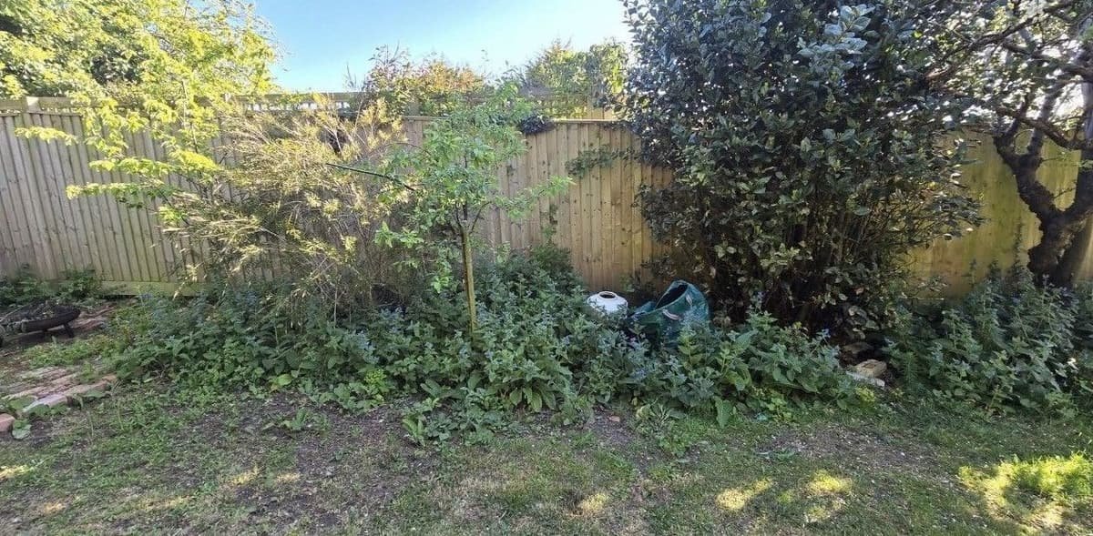 Before: border and garden tidy in Southbourne