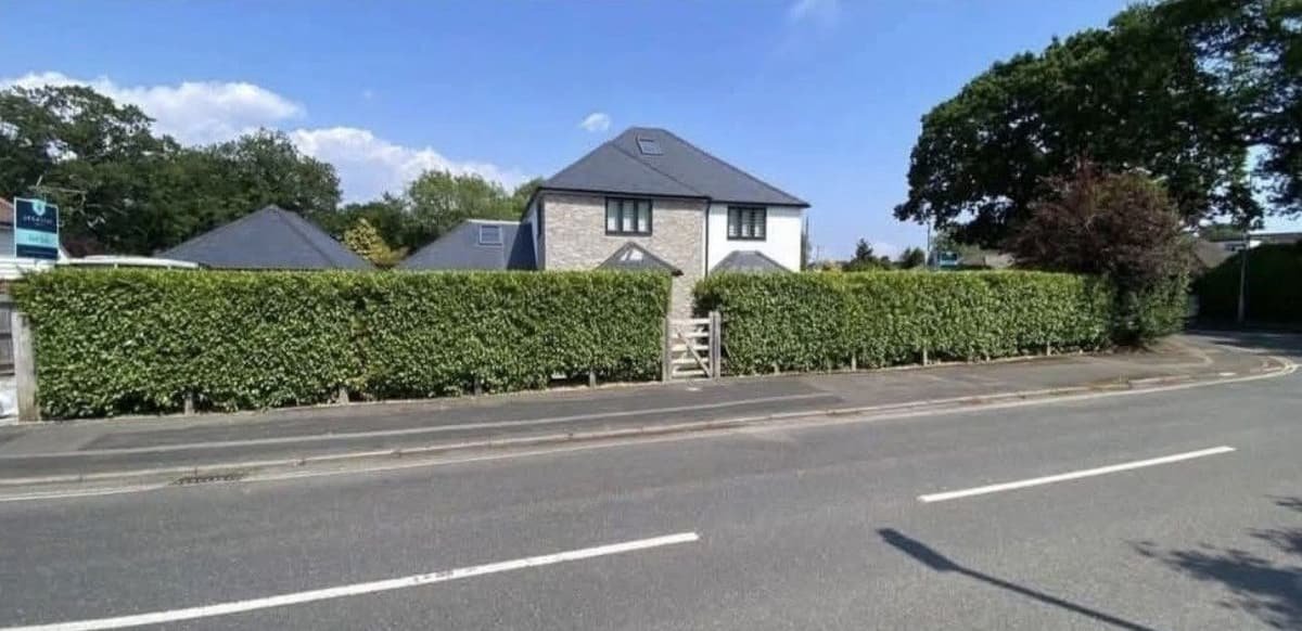 Long roadside hedge cut to a crisp, flat finish