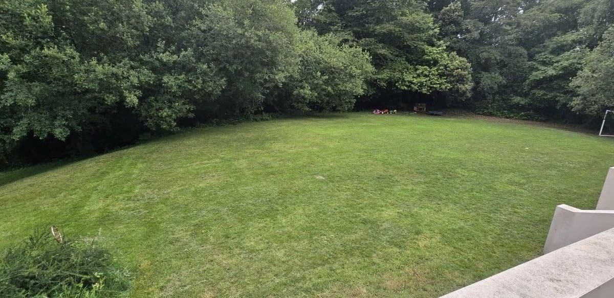 Wide lawn surrounded by trees, cut short and even after being left to grow long