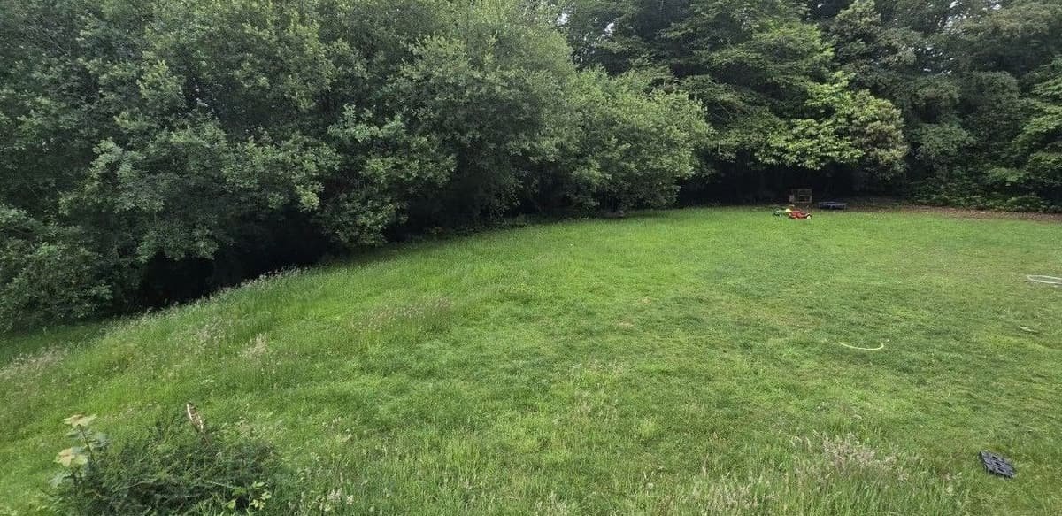 Before: wide lawn reset in Lymington