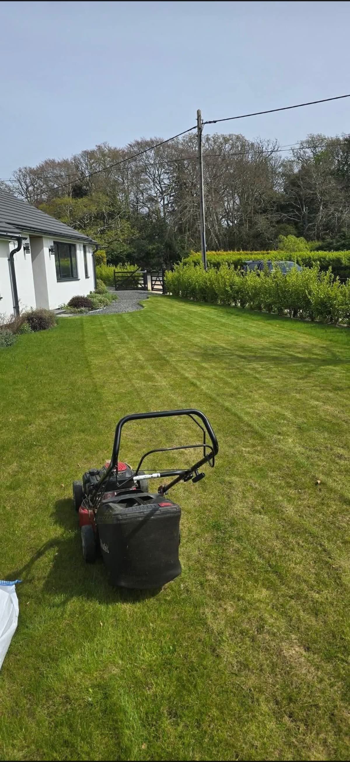 Freshly striped lawn with a mower beside a white house and clipped hedge, maintained by New Forest Garden Maintenance