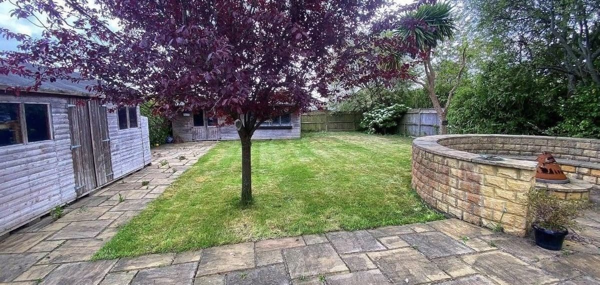 Striped lawn beneath a purple leaved tree, neatly cut and edged against the patio