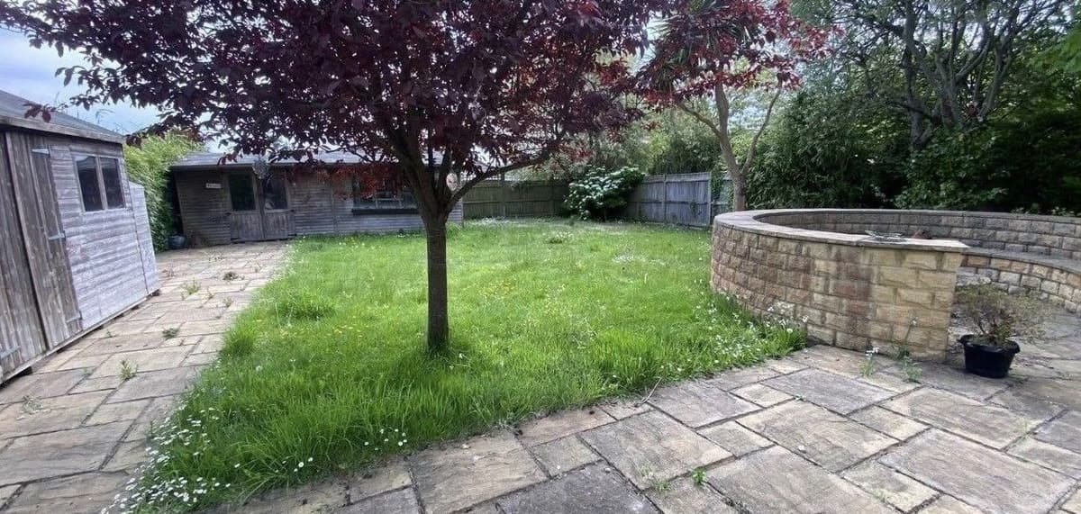 Before: lawn cut and edged in New Milton