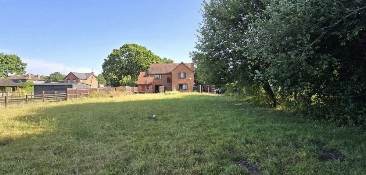 Before: large lawn cut